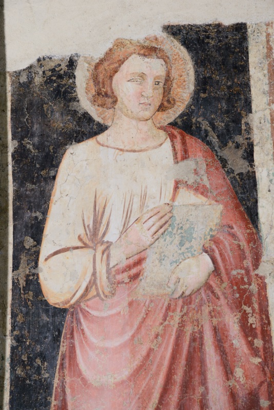 Fragmentary fresco of Saint John the Evangelist, shown from the knees up against a dark blue-black ground with extensive paint losses. The youthful, beardless saint has short curling auburn hair and a halo incised with radiating lines. He looks out at the viewer with a calm, slightly serious expression. He wears a pale tunic with a round neckline and long sleeves, and a red mantle falls from his left shoulder and wraps around his lower body in broad folds. With both hands he holds a closed book with a greenish cover against his chest. The upper part of the wall above the figure is covered by plain plaster