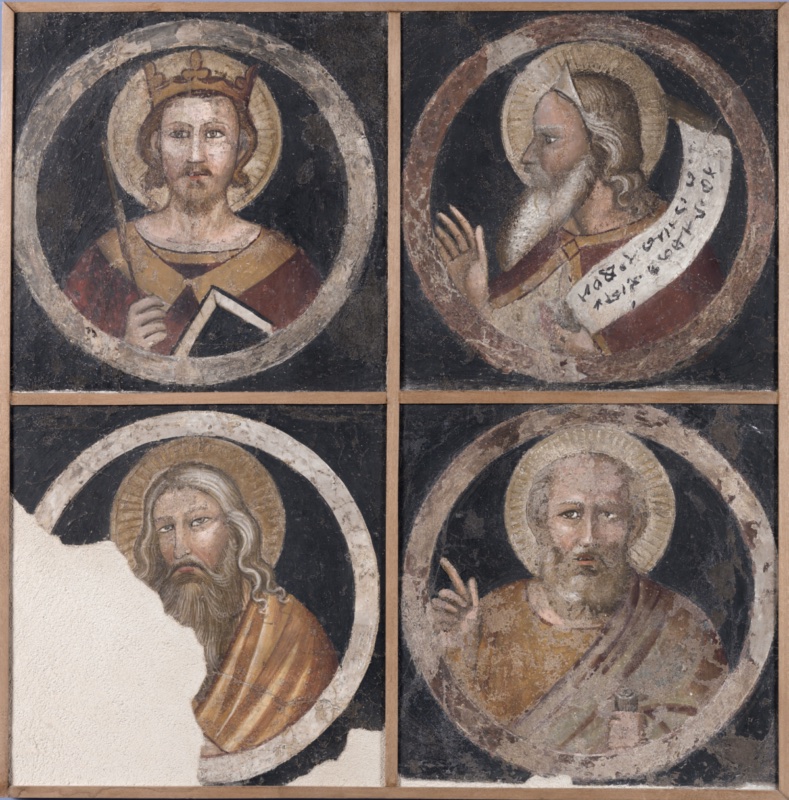 Four fragments of fresco arranged in a square grid within a wooden frame, each showing a haloed half-length figure inside a painted grey-white circular frame on a black ground. Top left: King David, crowned, with short curly brown hair and beard, holding a sceptre in his right hand and a closed book in his left, dressed in red and ochre. Top right: an elderly bearded prophet in profile wearing a white pointed cap, raising his right hand and holding an unrolled scroll with an inscription. Bottom left: a saint with long wavy white hair and a long beard, wrapped in an orange mantle, probably the apostle Andrew; part of this roundel is lost and filled with plain plaster. Bottom right: a saint with short grey hair and beard, raising his right hand in a gesture of speech and holding a scroll, probably the apostle Peter