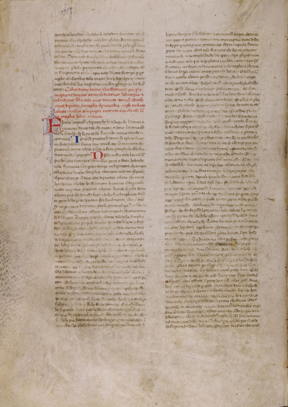 Medieval parchment manuscript page written in brown ink in two dense columns of small Gothic cursive script. In the upper half of the left column, a few lines of red text mark the heading of a new story, followed by a large red initial F decorated with fine blue pen flourishes. Smaller initials appear below it, one blue and one red. The pages are slightly stained and the inner edge of the binding is visible at the right.