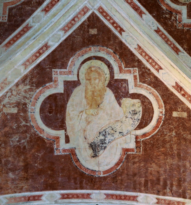 Triangular web of a Gothic vault frescoed in red-brown, framed by white ribs with red geometric borders. At the centre, a quatrefoil medallion with red and white ornamental bands encloses an elderly haloed prophet with a long ochre beard, dressed in pale robes, holding an unfurled scroll whose surface is abraded and blackened in patches