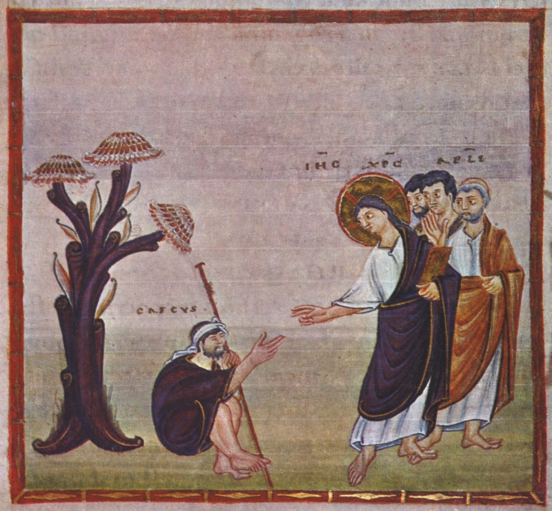 Medieval miniature in a red frame, against a reddish-violet ground above green earth: at left a stylised violet tree with fan-shaped red and white foliage; at its foot a bearded man in a blue-violet cloak sits on the ground with a white bandage over his eyes and a staff against his shoulder, resting his cheek on one hand and stretching out the other; at right a haloed Christ in a white tunic and dark violet mantle, holding a book, reaches his hand towards him, followed by three apostles, the last grey-haired in an ochre mantle