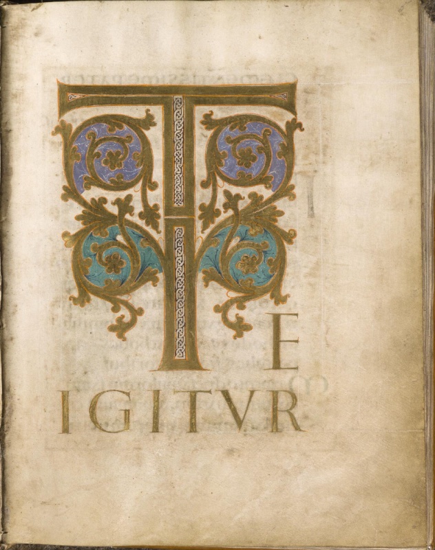 Ottonian manuscript page on pale parchment dominated by a monumental gold initial T. Its upright stem is filled with a narrow band of silver-white interlace, interrupted at mid-height. From the stem, symmetrical gold acanthus scrolls spiral outward on both sides, forming four roundels with rosettes at their centres: the upper two on violet grounds, the lower two on turquoise grounds, all outlined in orange. To the right of the stem's foot stands a gold capital E, and beneath it the word IGITUR in large gold capitals completes the opening words Te igitur. Faint letters from the other side of the leaf show through the parchment