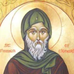 Finnian of Clonard